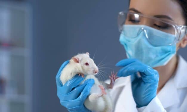 Scientists Create Drug-like Cocktail to Regenerate Hair Cells